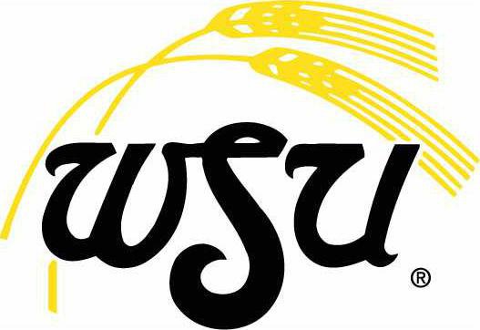 Wichita State cmyk