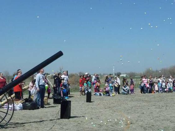 chu slt eggs Assembly-cannon