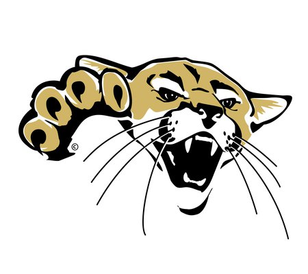 barton_cougar_head1.jpg
