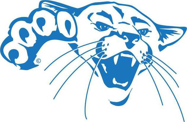 barton cougar headblue.png