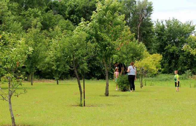 new_vlc_PRIDE orchard pic 1.jpg
