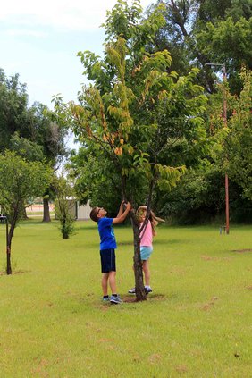 new_vlc_ PRIDE orchard pic 2.jpg