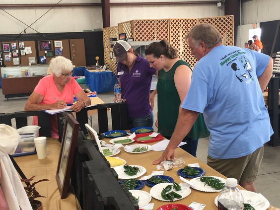 judging produce.jpg