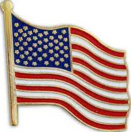 2-flag-pin